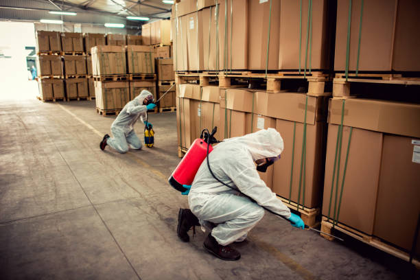 Best Cockroach Control Services  in Tooele, UT