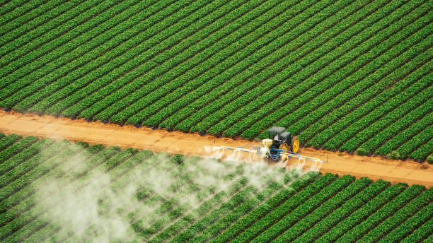 Best Affordable Exterminators  in Tooele, UT
